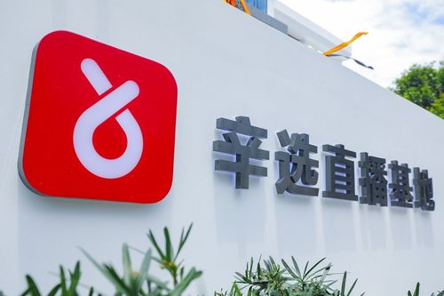 辛巴辛有志 以強大供應鏈體系構筑辛選護城河，賦能教育咨詢服務新生態